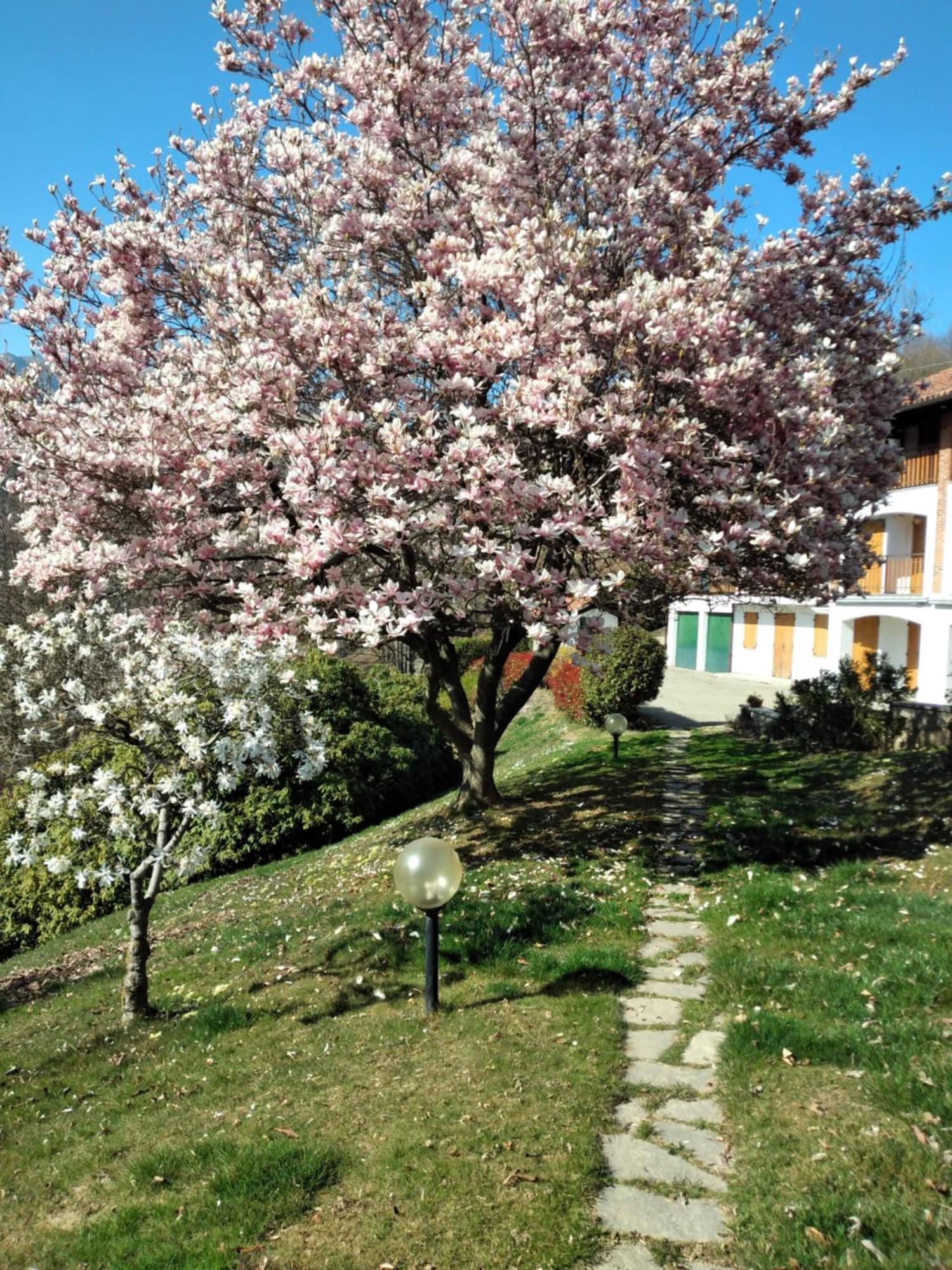 Appartamento A Due Passi Da Burcina Favaro Luaran gambar